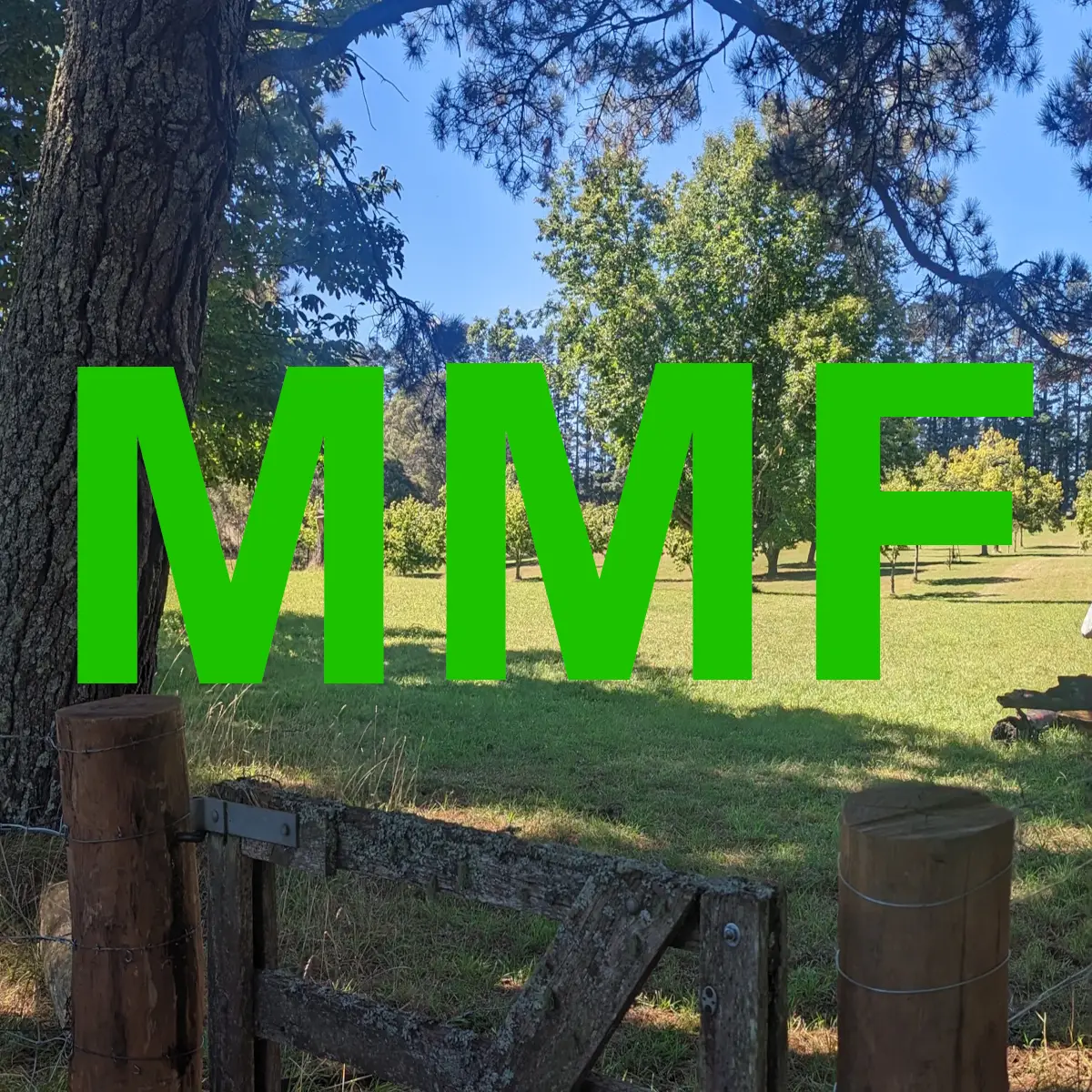 Misty Mountain Farm Sassafras Chestnuts