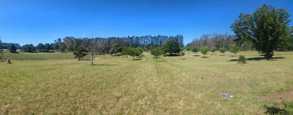 PXL_20230307_033610955.PANO