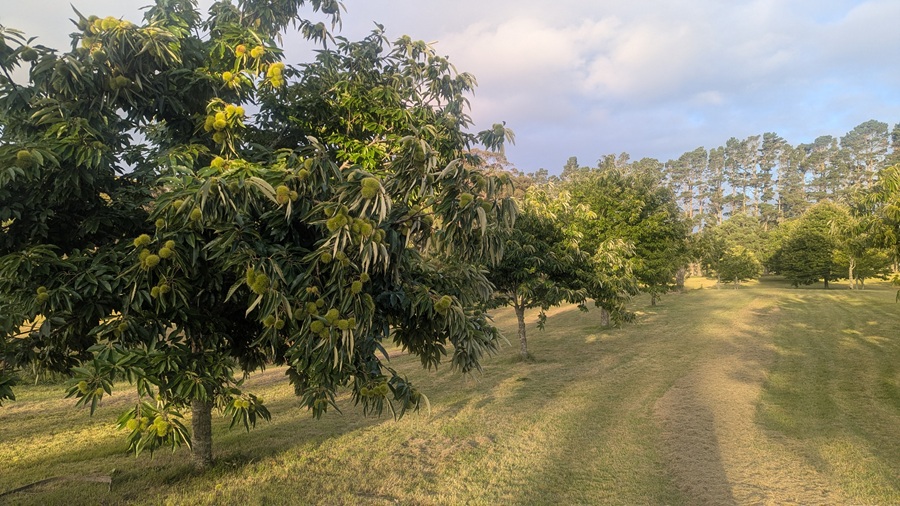 PXL_20250318_072121011sm